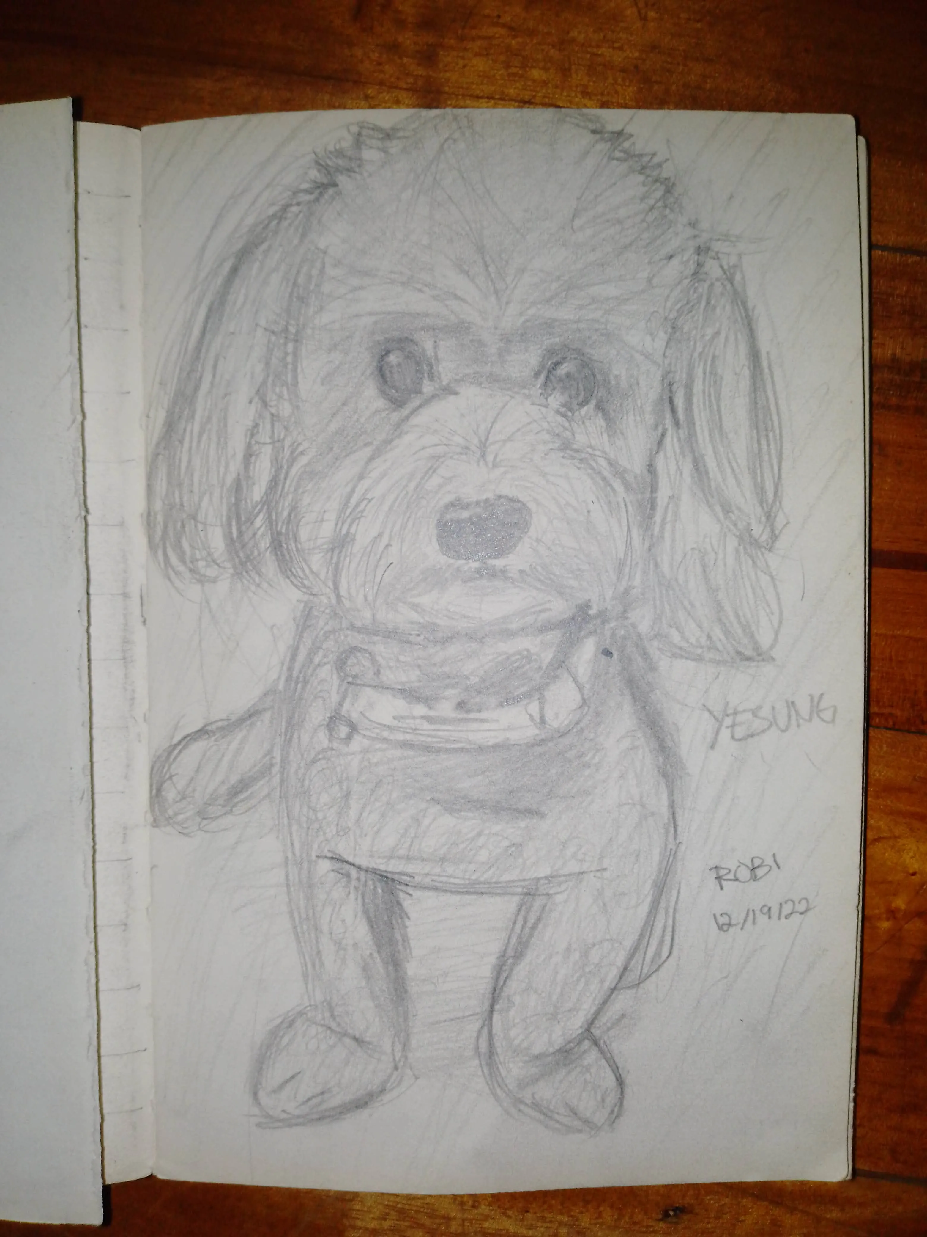 Original pencil sketch illustration by TOPEH artist